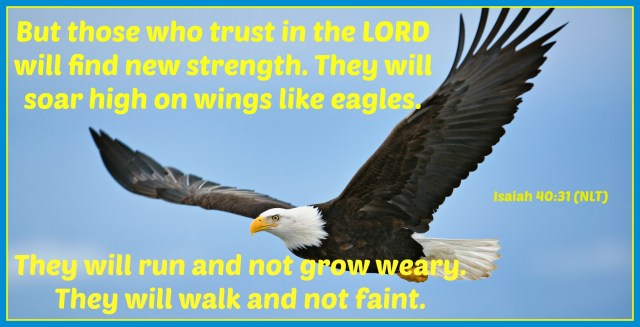 eagle verse