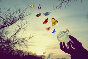 butterfly-free